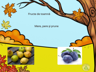 Fructe de toamnă by Alina