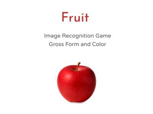 Fruits by Amy Shepherd