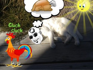 Funny Animals by Caleb Keegan