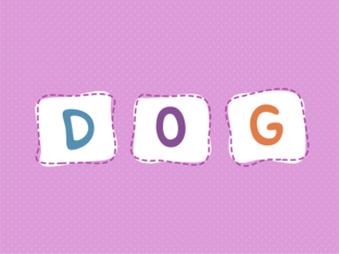 Funny Animal by Pimchanok Nugoon