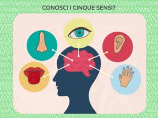 GLI ORGANI DI SENSO by Maria Luisa Francola