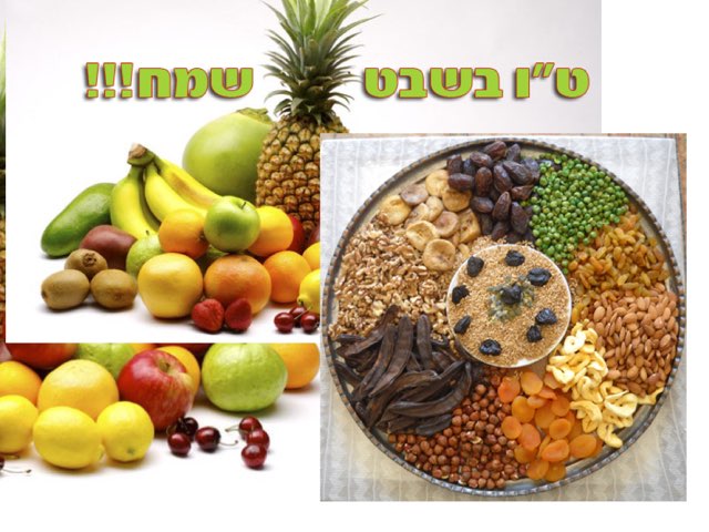 פאזל ולוח תקשורת  by Nomi Enkin