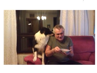 Palaset by Pauli Pyy