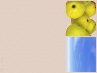 Colores by Emily Janzen