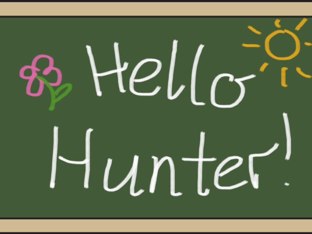 Shapes, colours and sounds. by Nicole Link