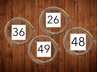 Number game. Gives you questions you answer. by Suzanne McMillan