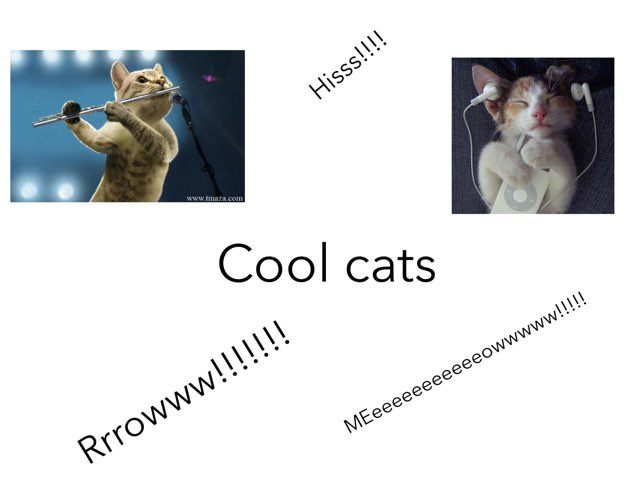 Let's see what is happened in cat land today
 by Karen Novak