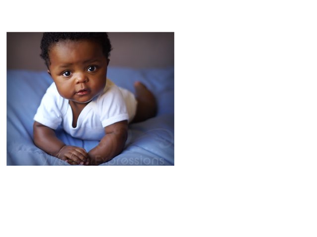 All about  Sam king  by Goose Green