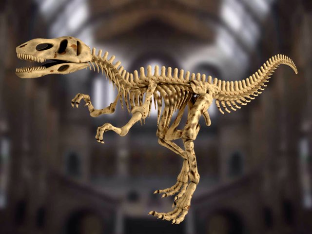 Bogdan ciubuc by Bogdan Ciubuc