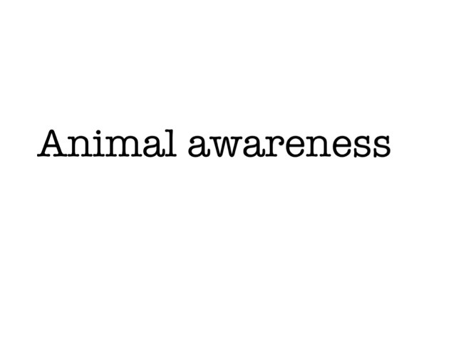 This is an animal awareness campaign Free Activities online for kids in