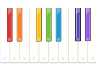 Mucik by Canette Fry