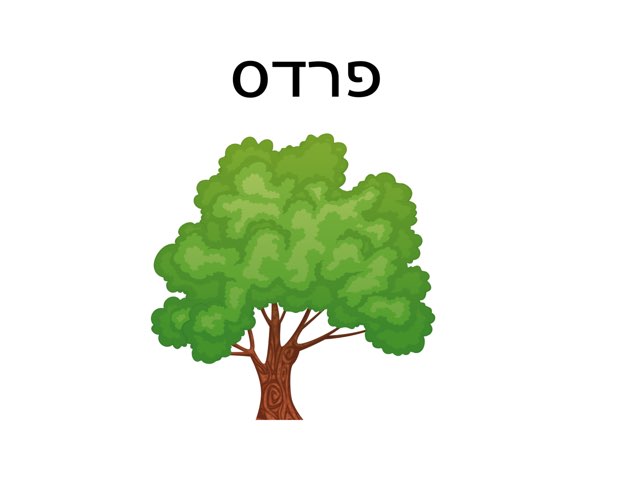זיהוי ושיום  בנושא פרדס by Natali rachman