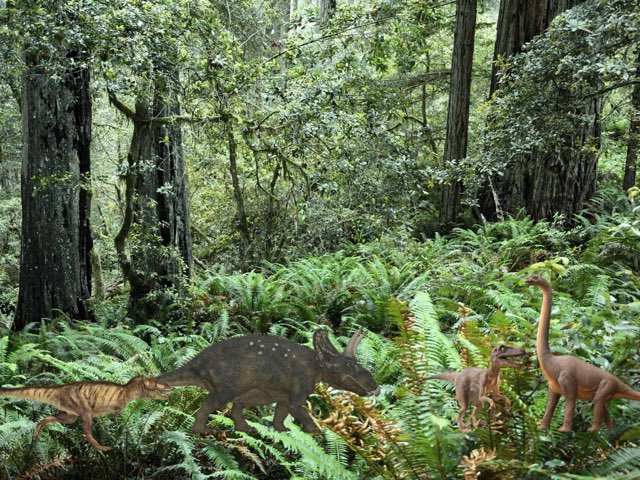 Bogdan ciubuc by Bogdan Ciubuc