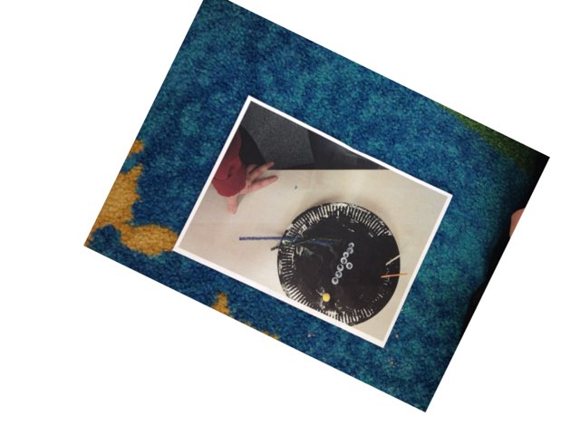 J spider by Miss white