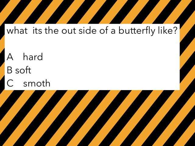 butterflies  by maggie ellis