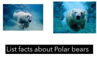 Polar bears
 by Kaitlyn Legrow