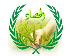 Harvest in Arabic.      Dima afifi by Dima Afifi