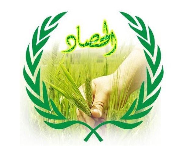 Harvest in Arabic.      Dima afifi by Dima Afifi