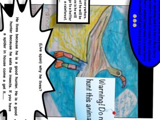 Gunes 

 by Claire sykes