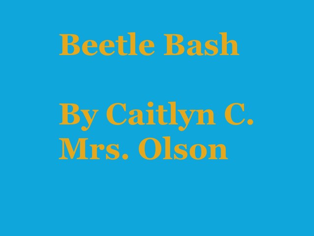 Beetle parts by Stephanie Olson