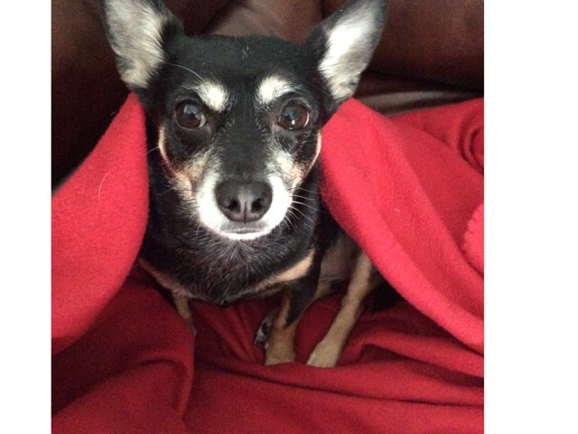 Testing by Anna Wilde