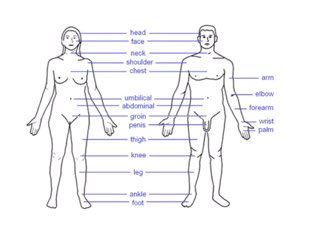 Body's
 by Louie Louie Francis