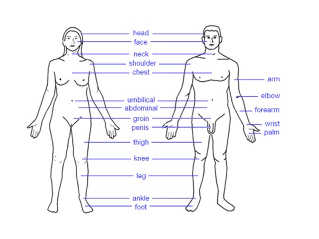 Body's
 by Louie Louie Francis