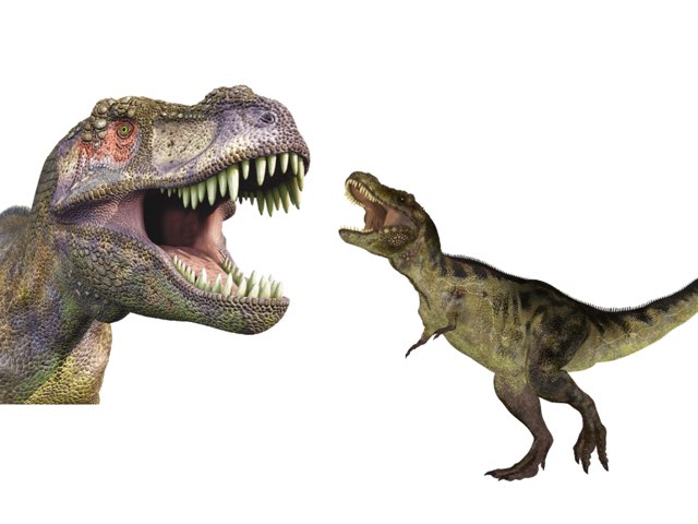 Bogdan by Bogdan Ciubuc