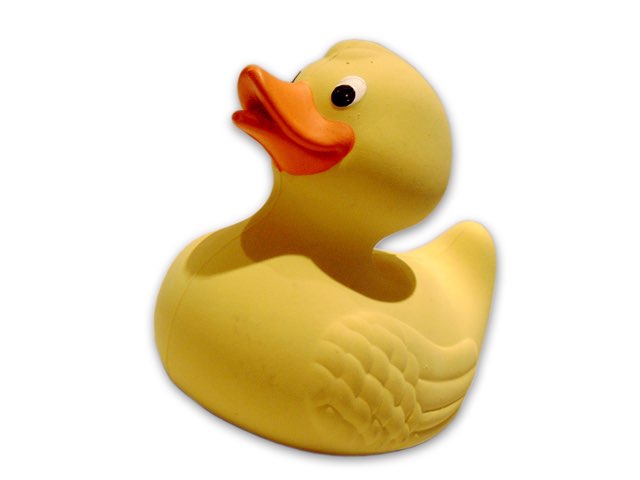 Test by Melissa Piazza