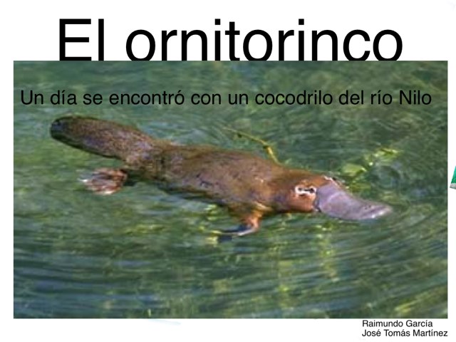 José Tomás y raimundo by Vale Peraldi