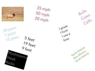 Elk quiz by Tracy Bye