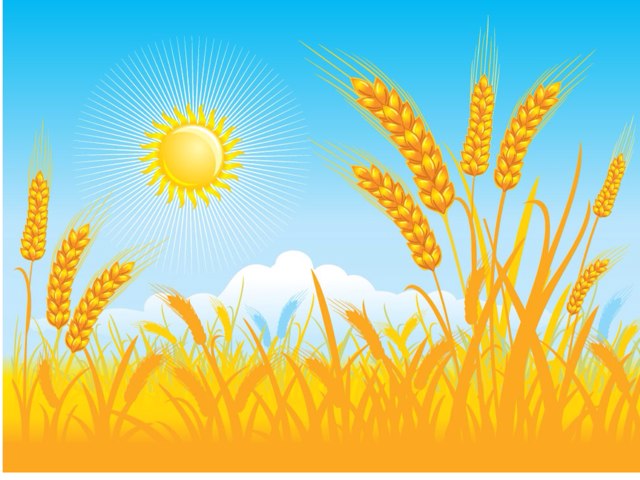 أدوات الحصاد ديما عفيفي by Dima Afifi