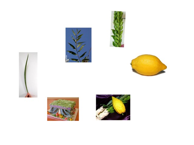 Sukkot  by Nadine Linton