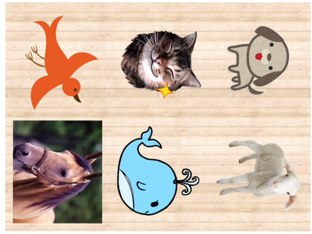 Animales by Emily Janzen