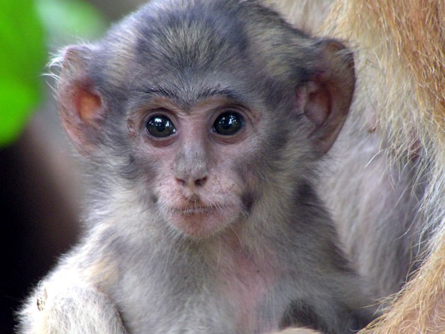 I love doing things like making a story
About. Livening things 
  by Candy Carter