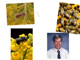 Cool
 by Kaylem Bryan