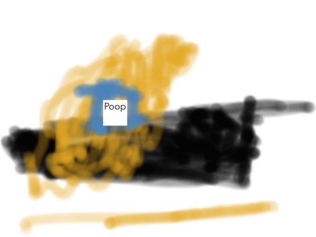 Cut as 
 by Zac strang