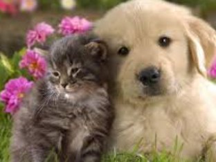 Directions
 by Ruth Bluestone