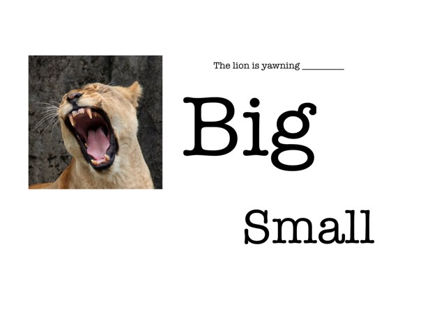 Big Small Free Games Online For Kids In Nursery By Lee Vang