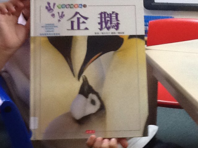 愷愷和東東 by Yajing Dou