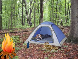 Locate the objects when they are mentioned by Genevieve Dooner