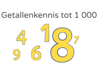 Getallenkennis tot 1 000 by Sarah Van Hauwaert
