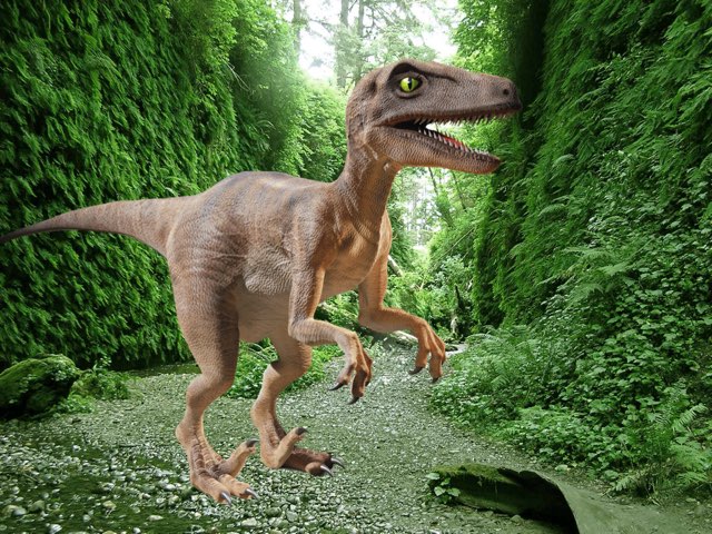 Gioco 23 by Paola Mattioli