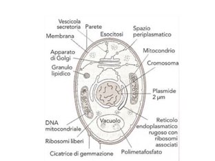 Gioco 9 by Simone Contini
