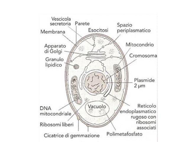 Gioco 9 by Simone Contini