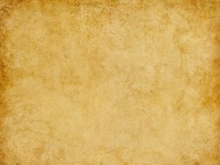 Goldie Puppy Place by Jessica Watne