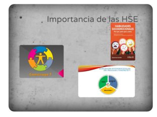 HSE by Leonides García Martínez