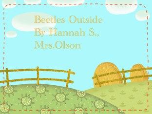 Hannah's Beetle Project by Stephanie Olson