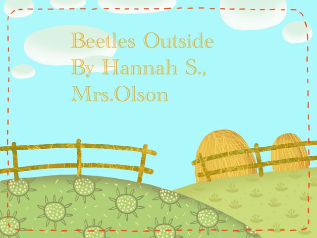 Hannah's Beetle Project by Stephanie Olson