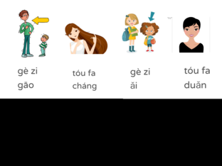 Height by Linda Linda